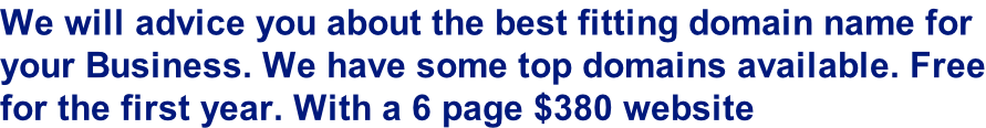 We will advice you about the best fitting domain name for  your Business. We have some top domains available. Free for the first year. With a 6 page $380 website
